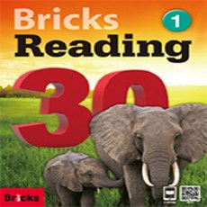 브릭스 리딩 30 Bricks Reading 1
