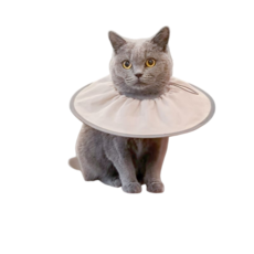 【限時下殺】 輕薄 透氣 零感頸圈 可收納 寵物頭套 寵物防舔頭套 伊莉莎白頭套 防舔頭套, 1個, 薄荷綠,M (腳長13cm)