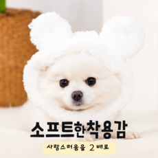 다잇대 따뜻보들 겨울필수 강아지 방한모자, 1개, 화이트
