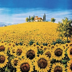 직소 만발한 조각퍼즐 언덕 1000조각 해바라기가 73974pc 1(pc), 1개