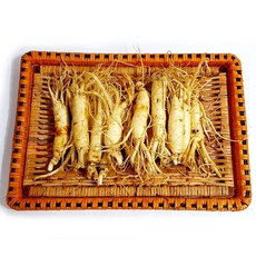 70년 재배 홍제원 풍기 인삼 국내산 파삼 세척 오크형 파삼 750g 6~9뿌리, 1세트, 세척오크형파삼750g(6~9뿌리)