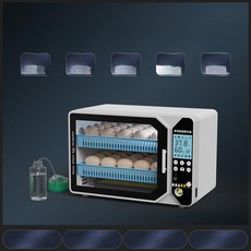 다주다몰 병아리부하기 병아리부화기 계란 알부화기, 1개, 30개 알 전자동 이중 전원