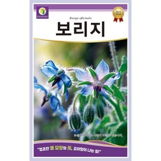 [주주씨앗] 보리지 씨앗 1g / 별모양 꽃 오이향 잎의 허브 종자 / 봄~초여름 파종 허브씨 씨앗몰, 1개