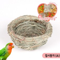 접시둥지(소) 앵무새 둥지 짚둥지 소형새 번식 부화, 1개