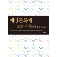 埋藏文化財保護政策的昨日與今日, 眞人眞, 崔珉禎 著