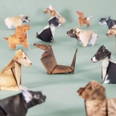 무드바이브 고양이 강아지 종이접기 파스텔 별종이 학알 색종이, 1, 종이접기_강아지