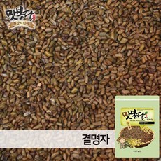 맛봉달 25년산 결명자 생결명자 결명자차 인도산, 1개, 500g(1개)