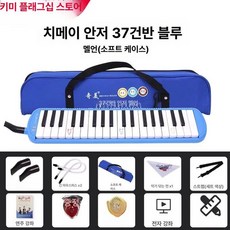 37건반 건반 전문 멜로디온 멜로디언 악기 키보드, 1개, 37키안즈블루 케이스 교육용 설명서 2세트