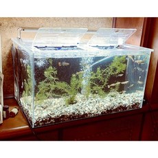 壓克力背濾式魚缸 小型桌面懶人免換水智慧生態水族箱 (魚缸尺寸長60X寬40X高40cm)含魚缸蓋組與沉水泵, 1個