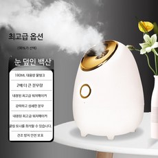 두피분사기 앰플 에어건 관리기 보습 뷰티 분사기 그린, 최상급 온수 분무기 화이트, 단일 모델