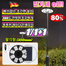 1/1+1 일체형 태양광 정원등 전기세 0원 시골집 마당 어두운 골목길 자동 켜짐 보안 레이더 센서등 옥상 조경등 /시골집마당/전기세0원, [1](1개입)팔각형 (350mm)