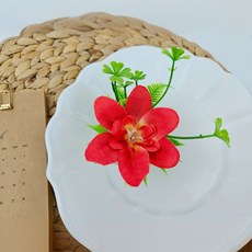 브리밍 사시미 플레이팅 조화 일식 장식용 데코, 5개, 스칼렛 레드