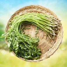 [특가페이지] 아삭아삭 청량 청도 미나리, 2kg, 1개