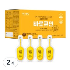 아리바이오 인도산 강황 추출물 수용성 나노 커큐민 바로큐민 액상형, 2개, 96g