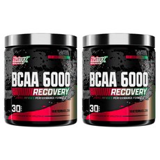 뉴트렉스리서치 BCAA 6000 리커버리 워터멜론, 2개, 255g
