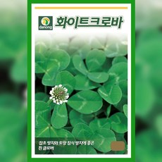다농 화이트크로바 씨앗 20g, 1개