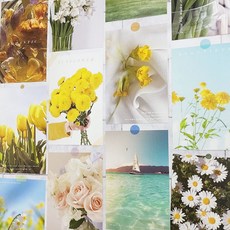 감성 컬러 엽서 모음 선샤인 드림 eso+975AD