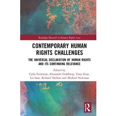 Contemporary Human Rights Challenges: The Universal Declaration of Human Rights and Its Continuing R... Hardcover, Routledge, English, 9780815364634