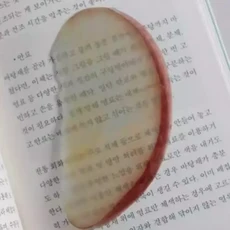 시뮬레이션 모양 북 Lemom 학생 도서 페 클립 액세서리 편지지 선물, Starwood