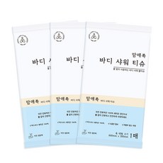 맘애쏙 바디 샤워티슈 캠핑 차박 입원 물없이샤워, 1매입, 10개