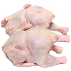 국내산 성계닭 산란닭 육수용닭 닭개장 국내산 냉동닭 큰닭 1300g, 2개