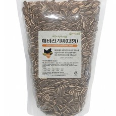 앵무새 간식 세척 볶음 해바라기씨 소형 중형 대형 500g, 대형500g, 1개