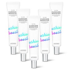 여우화장대 필터 쿠션 부스터 메이크업베이스 40ml, 5개