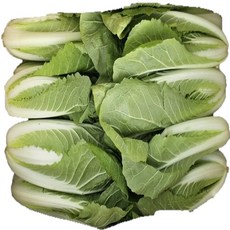 솔이네야채가게 직영 농장 얼갈이 배추 4KG, 1개