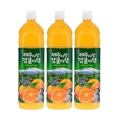롯데 델몬트 제주사랑 감귤사랑, 1.5L, 4개