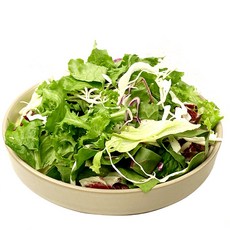 휴엔팜 당일수확 샐러드 믹스 1kg 대용량 세척 야채 샌드위치 포케 업소용, 1개