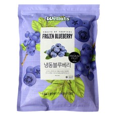 웰루츠 A등급 냉동 블루베리, 1개, 1kg