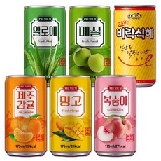 [중앙몰] 미니캔 과즙음료 혼합세트 60캔 (제주감귤+복숭아+망고+매실+알로에+비락식혜)+메세지스티커, 1세트, 175ml