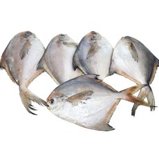 수산잇츠 국내산 병어 냉동 병어조림, 3개, 600g내외 (5미)