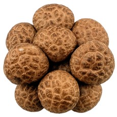 맛통령 표고버섯, 1개, 당일경매 생 표고버섯 1kg