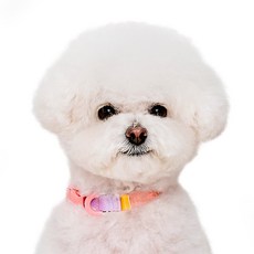 MY FLUFFY 狗狗Zero Collar項圈, 粉紅色, 1個