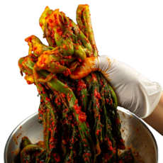 [100%국내산] 30년전통 여수 돌산 갓김치, 5kg, 1개