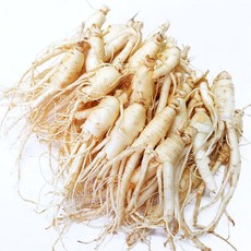 금산인삼 4년근 5년근 6년근 세척 무세척 수삼 가정용, (세척)난발 30뿌리-750g, 1개