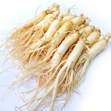 금산인삼 4년근 5년근 6년근 세척 무세척 수삼 가정용, (세척)원삼 20뿌리-750g, 1개