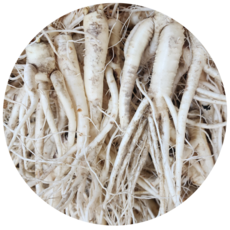 명품수랏간 국산 도라지 3년근 약도라지 세척약도라지 흙약도라지, 1박스, 1kg(세척약도라지,실속)
