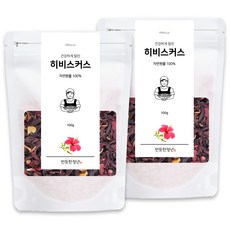 1+1 반듯한청년 히비스커스 티 100g 2봉 리필팩 차, 2개, 1개입
