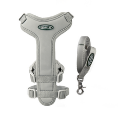 PROJECT 21 狗狗胸背帶+牽繩組, 灰色, 1組