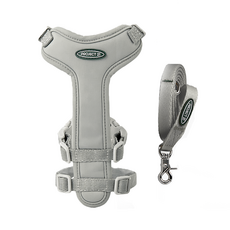 PROJECT 21 提拉胸背帶 + 提拉牽繩套組, 灰色, 1套