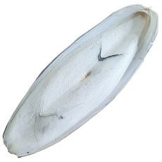 벅스앤미 갑오징어뼈 국내산 ( 달팽이 칼슘 보충 ), 1개, 30g