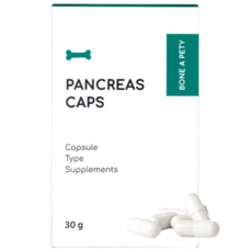 본아페티 강아지 캡슐 기능성 영양제, 60정, 소화기능/췌장개선, 1개