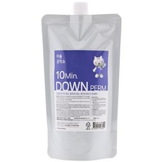 미용공작소 텐미닛 다운펌 500ml, 1개