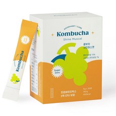 착한습관 콤부차 샤인머스캣(5gx30포), 샤인머스캣, 1개, 30개입