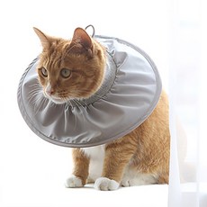 PET IN BEAUTY 寵物專用防舔圈 灰色 M號, 1入