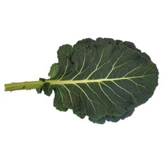 야채왕 쌈케일 중량별 300g 1kg 2kg 1박스 ( 실중량 1.8k - 2.0k ), 쌈케일2kg, 1개