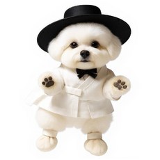 할뭉 반려동물 매우 편안한 일회용 버선 신발 28매 일주일 산책용, 1세트, 화이트