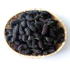 25년 햇 청일오디 5kg 급냉 특품 햇오디 나주오디, 청일오디 5kg 급냉상품, 1개